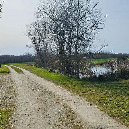 Au Petit Paradis Sainte-Gauburge-Sainte-Colombe Eksteriør billede