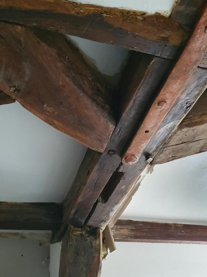 Au Petit Paradis Sainte-Gauburge-Sainte-Colombe Eksteriør billede