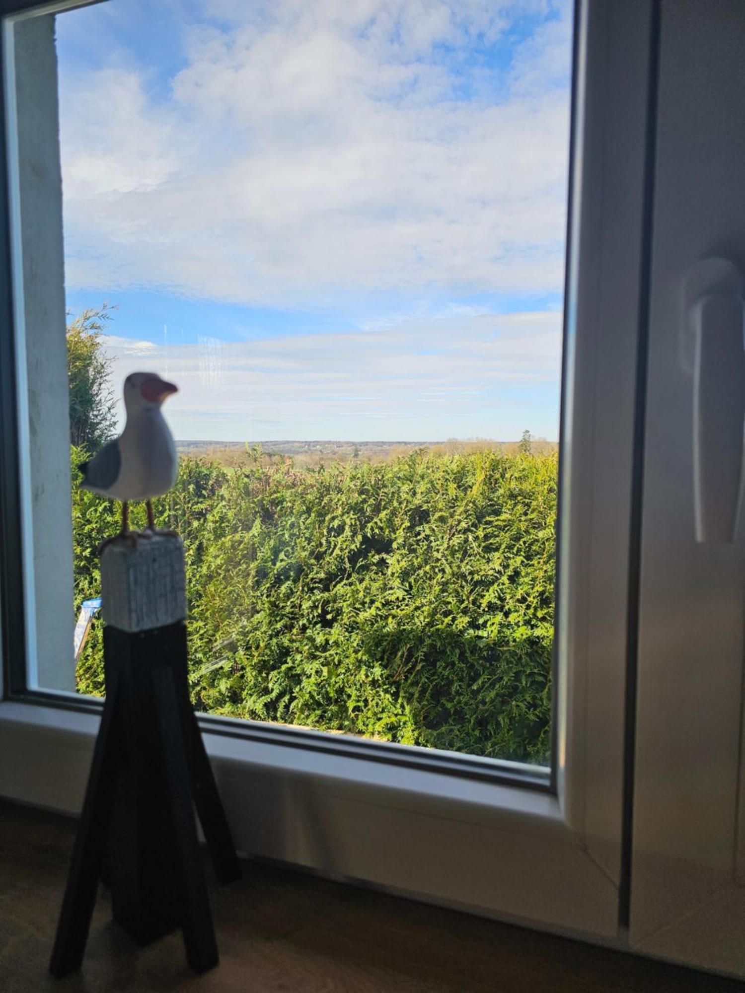 Au Petit Paradis Sainte-Gauburge-Sainte-Colombe Eksteriør billede